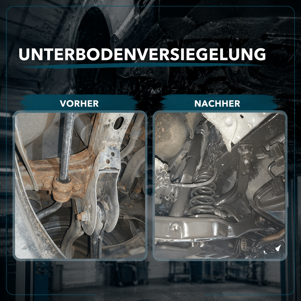 Galeriebild