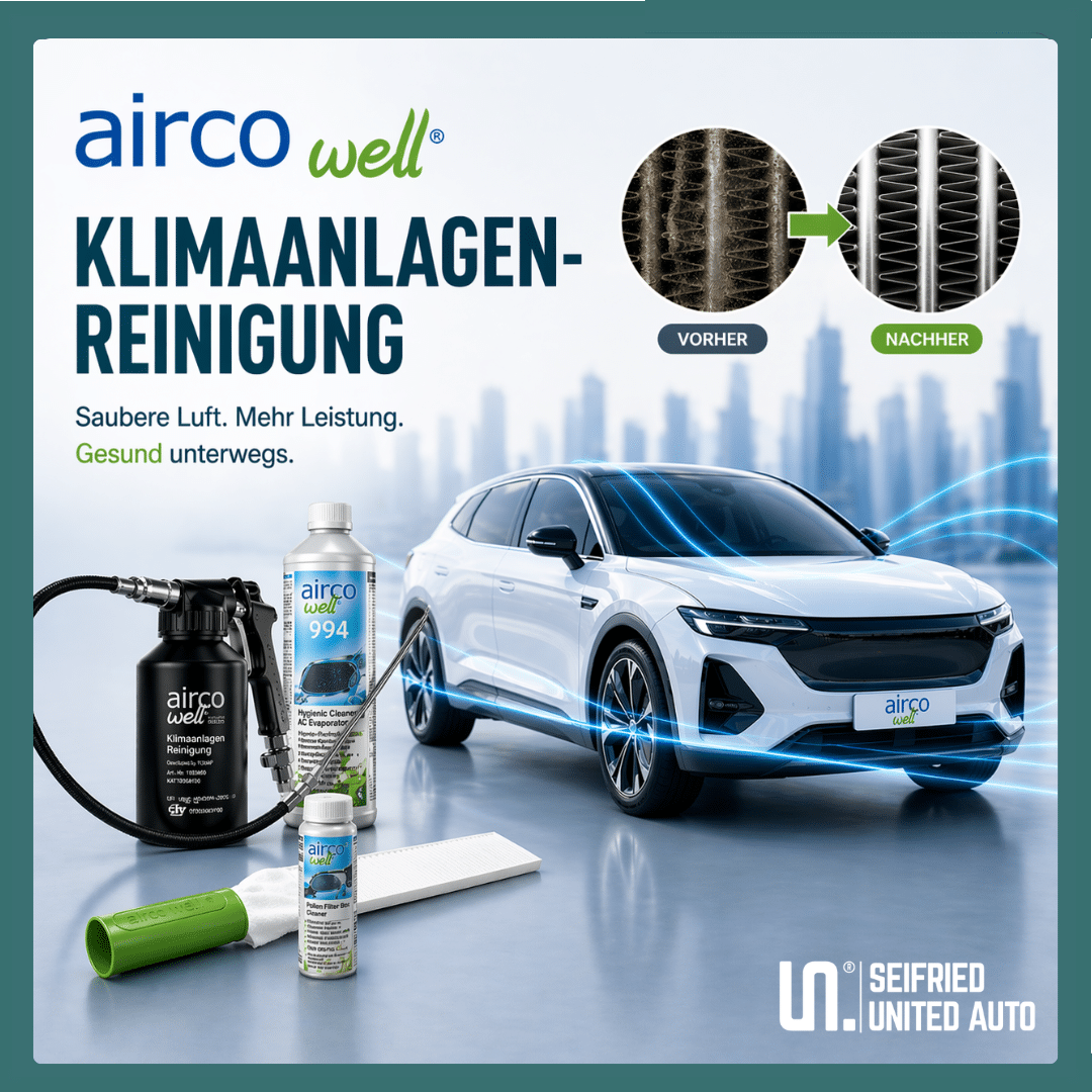 Professionelle Klimareinigung